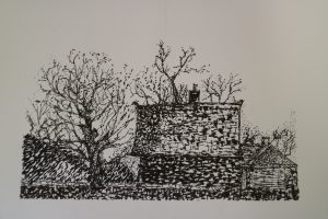 Jane May - 3 houses study Pen and Ink